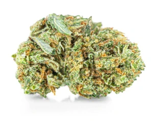 Sušené konopí Amnesia Haze CBD | 51,83% | 10g